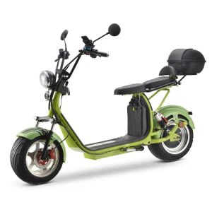 3000 W COC ڈبل بیٹری سٹی کوکو